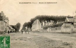 CPA - PLEUMARTIN (86) - Aspect De La Route De Châtellerault En 1912 - Pleumartin