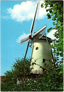 Panorama Molen Rhenen - & Windmill - Rhenen