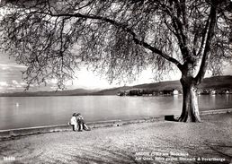 Arbon Am Bodensee Am Quai  (carte Grand Format) - Arbon