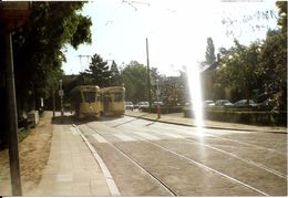 Bruxelles (1180) : Deux Trams 18 En Attente à Leur Terminus Du Dieweg, à Uccle. Photo. - Public Transport (surface)