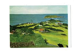 Cpm - GUADELOUPE - Vue De MARIGOT - SAINT-BARTHELEMY - PEINTURE MARGOT FERRA DONIGER - Saint Barthelemy