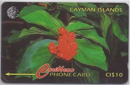 CAYMAN ISLANDS - BROADLEAR FLOWER - 94CCIB - Kaaimaneilanden