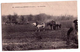 D005 - Epinay Sous Sénart ( S&O ) -les Semailles - N°401 - M.Mulard Phot. édit. à Yerres - Epinay Sous Senart