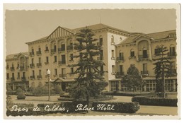 MINAS GERAIS  - POÇOS DE CALDAS - HOTEIS E RESTAURANTES - Palace Hotel.  Carte Postale - Belo Horizonte