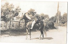 ALgérie - Carte Photo THEODORE ADREIT Sur Son Cheval En 1925 - Photo MAX Place De La République à ALGER - Men