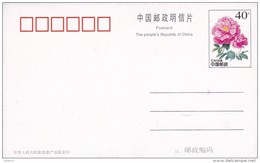 Cactus - Enveloppe - Carte - Document - Sukkulenten