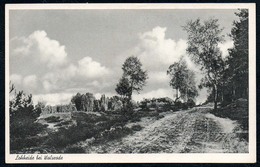 A9916 - Walsrode - Lohheide - Scheling TOP - Walsrode