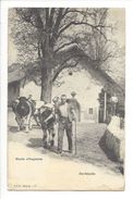 18567 -   Etude Villageoise Dorfstudie Paysans Et Vaches - Dorf