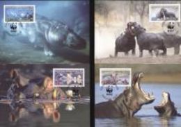 Congo Ex Zaire 2006, WWF, Hippoes, 4MAXIMUM - Briefe U. Dokumente