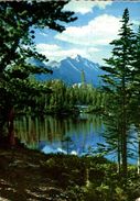 CPSM Nymph Lake In Rocky Mountain National Park Colorado - Rocky Mountains