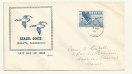 THEME OISEAUX OIES DU CANADA SUR LETTRE OBLITREE 03/11/1952 - Oies