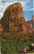 CPSM USA Zion National Park  - Union Pacific Railroad Pictorial Post Card - Zion
