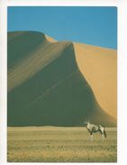 SUSSUSVLEI   1990 - Namibië