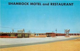 276661-Mississippi, Corinth, Shamrock Motel & Restaurant, Joe M. McKewer By Dexter Press No 21624-B - Sonstige & Ohne Zuordnung