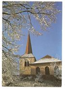 Eglise De BAULMES, L'hiver - (Imprimé En Suisse) - Baulmes