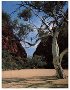 (777) Australia - (with Stamp At Back Of Card) NT - Simpson Gap - The Red Centre