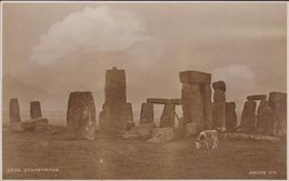 Very Old RARE Photo Card Stonehenge With Cow Judges Ltd Hastings 5236 Amesbury Wiltshire (In Very Good Condition) - Stonehenge