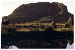 (555) Australia - TAS - Cradle Mountain - Wilderness