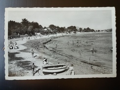 LA SEYNE PLAGE DE MAR VIVO BAIGNEUR - La Roquebrussanne