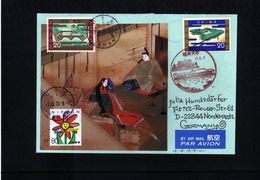 Japan 2005 Interesting Letter - Storia Postale