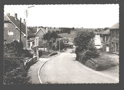 Bullingen-Bullange - Carte Photo - Vue De Village - Bullange - Büllingen