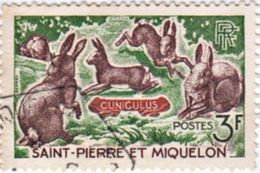 WILD RABBITS 3f POSTAGE STAMP ST.PIERRE & MIQUELON 1964 USED/GOOD - Used Stamps