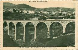 130118B - 42 PELUSSIN Vue De Pélussin Du Pont De Charantonay - Aqueduc - Ligne Chemin De Fer - Pelussin