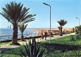 GRAN CANARIA - Playa Del Inglés - ESPAÑA - Gomera