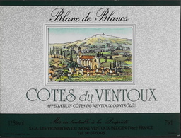 ETIQUETTE De VIN " Côtes Du Ventoux " - 12,5° - 75cl - Blanc De Blancs - Bédouin (Vaucluse) - Très Bon état - Côtes Du Ventoux
