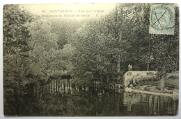 VUE SUR L'YERRES - LA PASSERELLE DU MOULIN DE SENLIS - MONTGERON - Montgeron