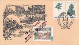 6142FM- PALTINIS- HOHE RINNE SPA TOWN, 4 MAXIMUM CARDS AND 1 SPECIAL COVER, 1995, ROMANIA - Lettres & Documents