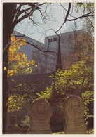 Indiana University, Bloomington, Old Tombstones, 1984 Used Postcard [20835] - Bloomington