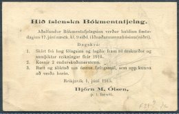 1914 Iceland 3 Aur Stationery Postcard Reykjavik, Private Advertising - Entiers Postaux