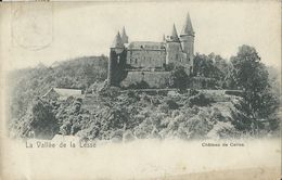 La Vallée De La Lesse.   -    Château De Celles - Celles