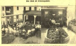 Das Dach Als Erholungsstätte/ Druck, Entnommen Aus Zeitschrift / 1928 - Colis
