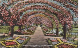 Washington Tacoma Rose Arbor In Point Defiance Park 1924 Curteich - Tacoma