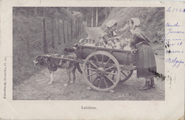 Voiture A Chiens - Laitières - Rosenbaum. Bruxelles Pl. 261 - Carte Précurseur 1900 - Straßenhandel Und Kleingewerbe