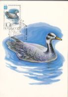 BIRDS, BAR HEADED GOOSE, CM, MAXICARD, CARTES MAXIMUM, OBLIT FDC, 1982, RUSSIA - Oche