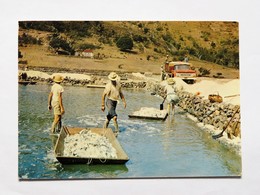 C.P.A. Ile De SAINT-BARTHELEMY : Les Salines, La Récolte De Sel, Animé, En 1976 - Saint Barthelemy