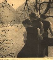 Sonniger Herbsttag Am Vierwaldstätter See / Druck,entnommen Aus Zeitschrift / 1937 - Bücherpakete
