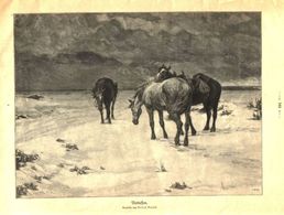 Verlassen (nach Einem Gemälde Von Alfred Roloff)  / Druck,entnommen Aus Zeitschrift / 1910 - Colis