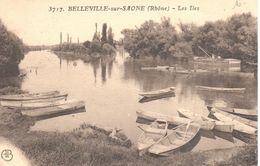 (69) Rhône - CPA - Belleville Sur Saone - Les Iles - Belleville Sur Saone