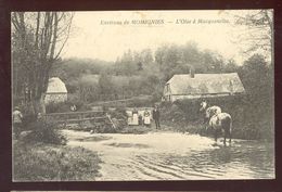 Cpa Macquenoise  Chevaux   1917 - Momignies