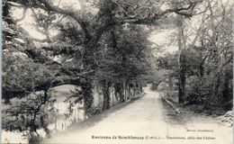 37 - Semblançay -- Environ - Tournelune, Allée Des Chênes - Semblançay