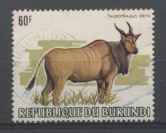 1982  Animaux  6F  Taurotragus Oryx    Hors D'une Série Cotée 700,-E - Usati