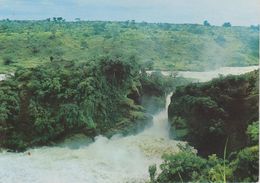 Uganda - Cascate Murchison - Ouganda