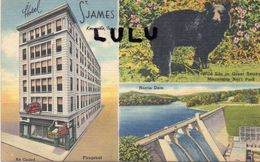 ETATS UNIS : TN : Hotel Saint James Knoxville , Multivues ( Ours Noir ) - Knoxville