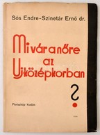 Sós Endre-dr. Szinetár Ernő: Mi Vár A Nőre Az Uj Középkorban? Két Előadás. Budapest, , Periszkóp Kiadás, 32 P. Kiadói Fű - Non Classés