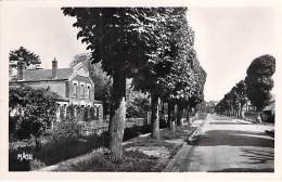 78 - GOURNAY EN BRAY :  Boulevard De La Gare Et Etablissement De Bains - CPSM Photo PF - Yvelines - Autres & Non Classés