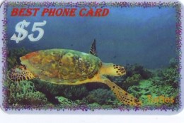 Télécarte * USA  (2368) TORTUE * TURTLE *  Phonecard * SCHILDKRÖTE * TELEFONKARTE - Schildkröten